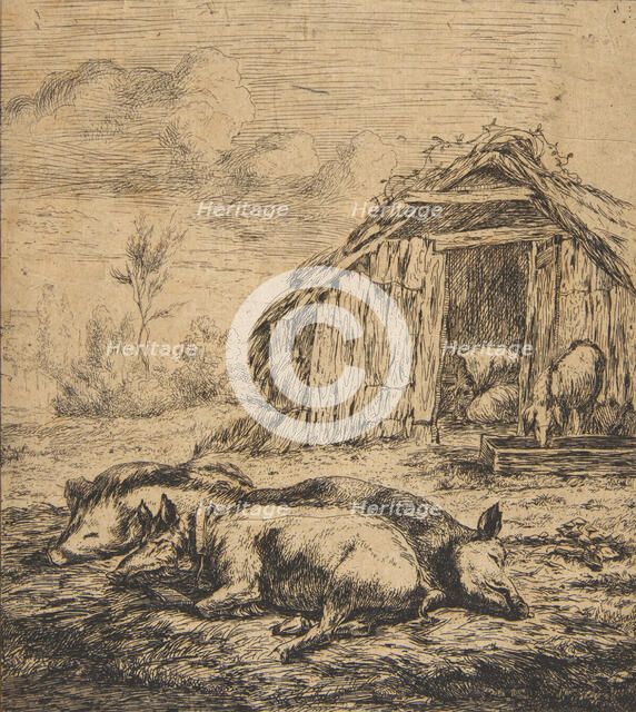 Three Pigs Lying in Front of a Shed, 1850. Creator: Charles Meryon.