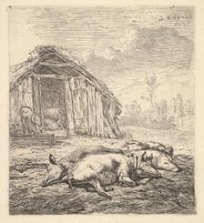 Three pigs lying on their sides, a pigsty and trough beyond, 1652. Creator: Karel Du Jardin