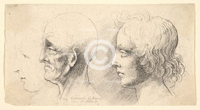 Three profile heads, one in outline only, 1625-77. Creator: Wenceslaus Hollar.