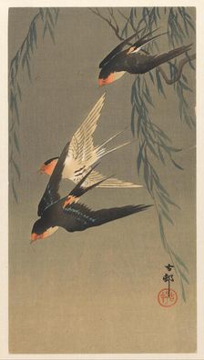 Three red-rumped swallows in a dive, 1920-1930. Creator: Ohara, Koson (1877-1945)