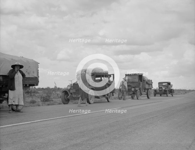 Three related drought refugee families from Oklahoma on highway near Lordsburg, New Mexico, 1937. Creator: Dorothea Lange.