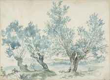 Three Willow Trees, n.d