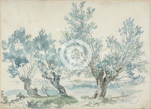 Three Willow Trees, n.d.