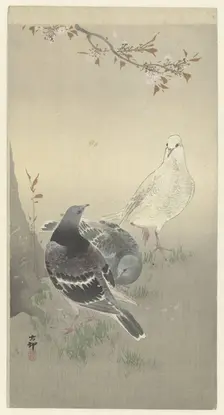Three tame pigeons. Creator: Ohara, Koson (1877-1945)