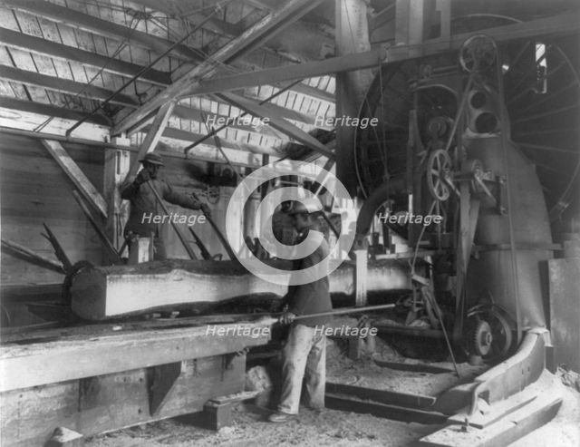 Three young black men working in lumber mill at Hampton Institute, Hampton, Va., 1899 or 1900. Creator: Frances Benjamin Johnston.