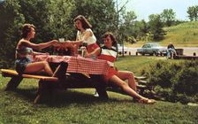 Three young women at a picnic table enjoying a meal, Snowdon, Montreal, Canada, 1955