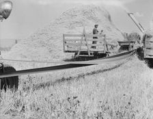 Threshing, midsummer noon, five miles west of Malin, Klamath County, Oregon, 1939. Creator: Dorothea Lange