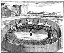 Threshing out the corn, South Africa, 18th century (1931)