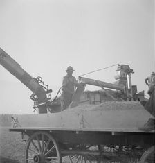 Threshing of oats, Clayton, Indiana, south of Indianapolis, 1936. Creator: Dorothea Lange