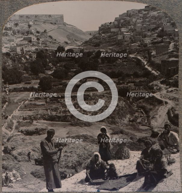 'Threshing on roof; overlooking the valley of Kedron', c1900. Artist: Unknown.