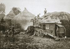 Threshing for straw for soldiers use, France, World War I, 1916