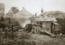 Threshing for straw for soldiers use, France, World War I, 1916. Creator: Unknown