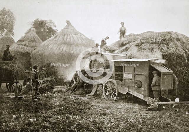 Threshing for straw for soldiers' use, France, World War I, 1916. Creator: Unknown.