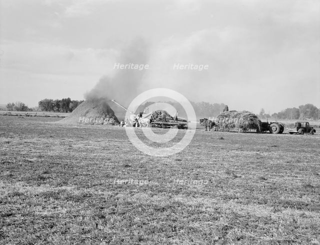 Threshing red clover for seed on older settler's ranch, near Ontario, Oregon, 1939. Creator: Dorothea Lange.