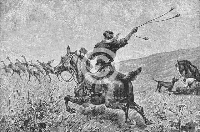 'Throwing The Bolas',  c1885, (1890). Artist: Robert Taylor Pritchett.