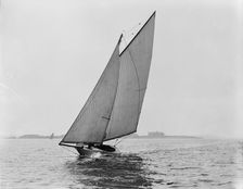 Thrush, 1892 Aug 13. Creator: Unknown