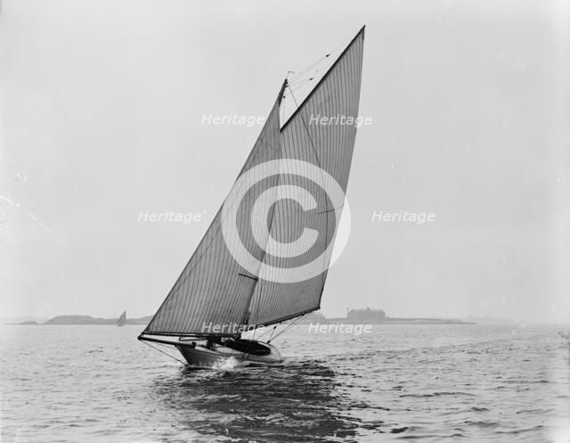 Thrush, 1892 Aug 13. Creator: Unknown.