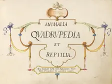 Title Page, c. 1575/1580. Creator: Joris Hoefnagel