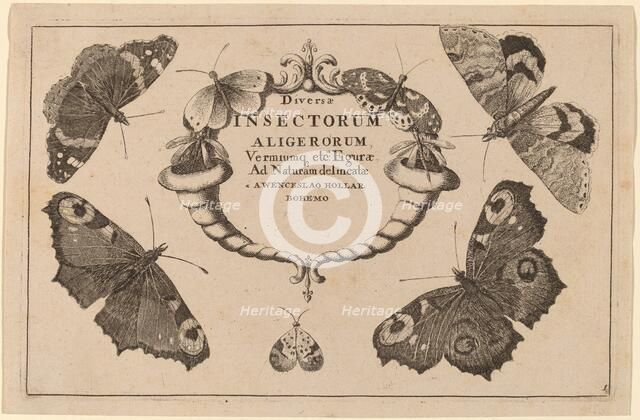 Title Page. Creator: Wenceslaus Hollar.