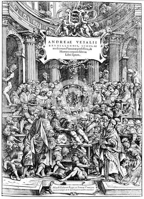 Title page of Andreas Vesalius 'De Humani Corporis Fabrica', showing Vesalius dissecting body, 1543. Artist: Andreas Vesalius