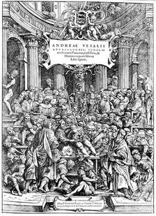Title page of Andreas Vesalius De Humani Corporis Fabrica showing Vesalius dissecting body, 1543. Artist: Andreas Vesalius