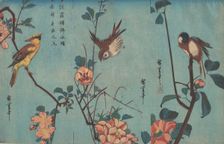 Titmouse and Camellias (right), Sparrow and Wild Roses (center), and Black-naped Oriol..., ca. 1833. Creator: Ando Hiroshige