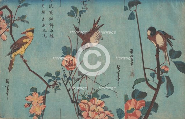 Titmouse and Camellias (right), Sparrow and Wild Roses (center), and Black-naped Oriol..., ca. 1833. Creator: Ando Hiroshige.