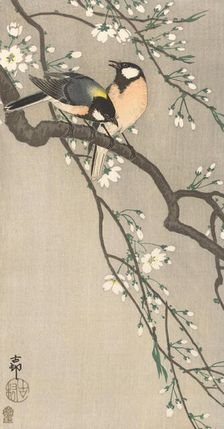 Tits on Cherry Branch, 1900-1910. Creator: Ohara, Koson (1877-1945)