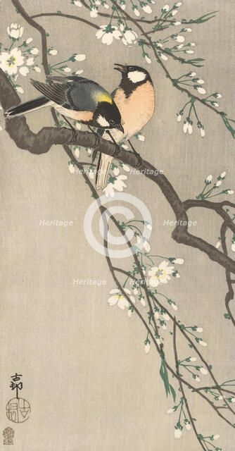 Tits on Cherry Branch, 1900-1910. Creator: Ohara, Koson (1877-1945).