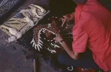 Tibetan refugee carpet project, Dharamsala, India, 1988. Creator: Amanda Waite