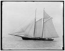 Tidal Wave, between 1880 and 1899. Creator: Unknown