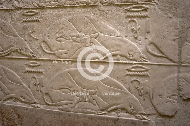 Tied cows relief, Mastaba of Kagemni, Saqqara, Egypt, Old Kingdom, 6th Dynasty, 2350 BC (2003). Creator: Unknown.