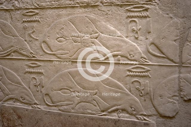 Tied cows relief, Mastaba of Kagemni, Saqqara, Egypt, Old Kingdom, 6th Dynasty, 2350 BC (2003). Creator: Unknown.