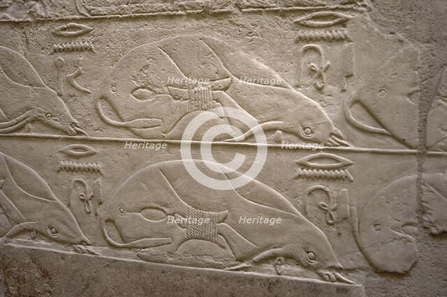 Tied cows relief, Mastaba of Kagemni, Saqqara, Egypt, Old Kingdom, 6th Dynasty, 2350 BC (2003). Creator: Unknown.