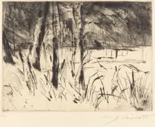 Tiergarten (Zoological Garden), 1922. Creator: Lovis Corinth