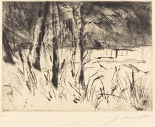 Tiergarten (Zoological Garden), 1922. Creator: Lovis Corinth