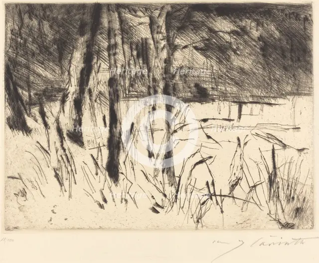 Tiergarten (Zoological Garden), 1922. Creator: Lovis Corinth.