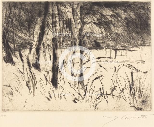 Tiergarten (Zoological Garden), 1922. Creator: Lovis Corinth.