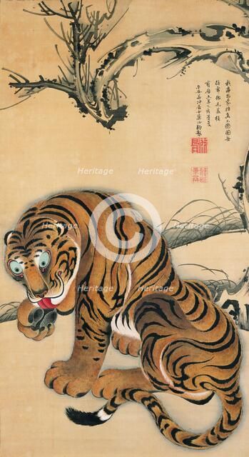 Tiger, 1755. Creator: Jakuchu, Ito (1716-1800).