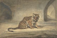 Tiger, 1810-75. Creator: Antoine-Louis Barye