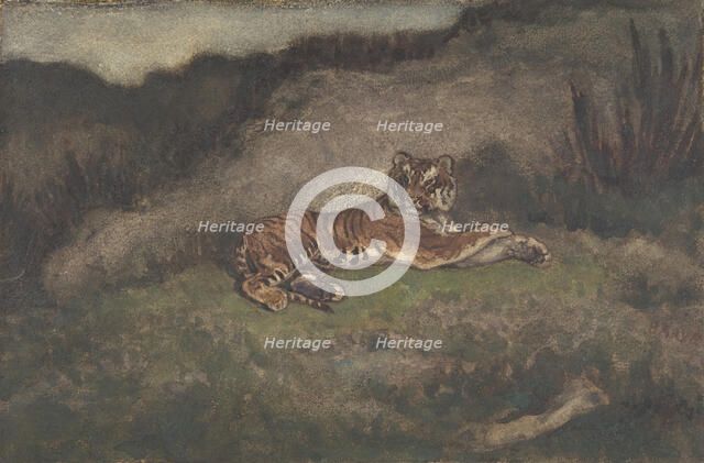 Tiger, 1810-75. Creator: Antoine-Louis Barye.