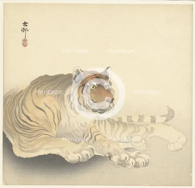 Tiger, 1920-1930. Creator: Ohara, Koson (1877-1945).