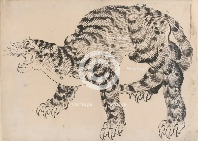 Tiger, 19th century. Creator: Hokusai School.
