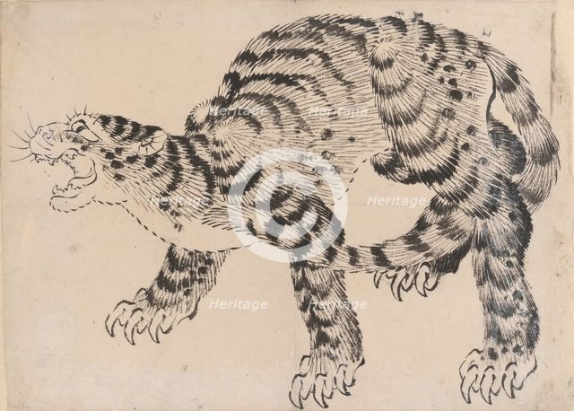 Tiger, 19th century. Creator: Hokusai School.