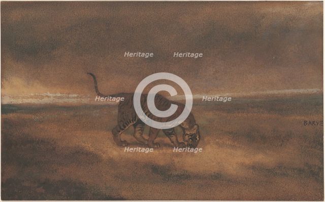 Tiger. Creator: Antoine-Louis Barye.