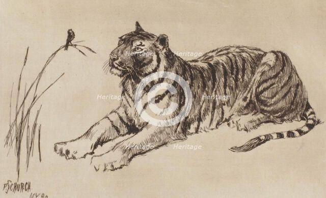 Tiger and Bird, 1892. Creator: Frederick Stuart Church.