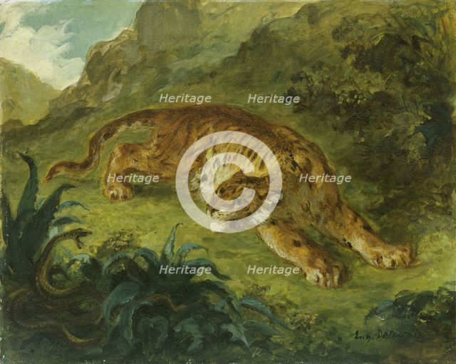 Tiger and Snake, 1854-1858. Creator: Delacroix, Eugène (1798-1863).
