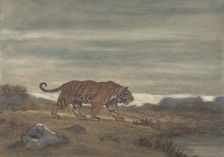 Tiger Approaching Pool, 1810-75. Creator: Antoine-Louis Barye