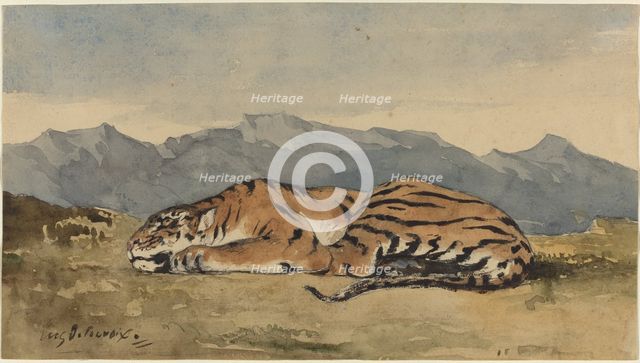 Tiger, c. 1830. Creator: Eugene Delacroix.