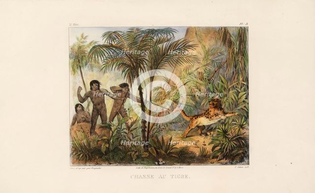Tiger hunting. From "Voyage pittoresque dans le Brésil", 1835. Creator: Rugendas, Johann Moritz (1802-1858).